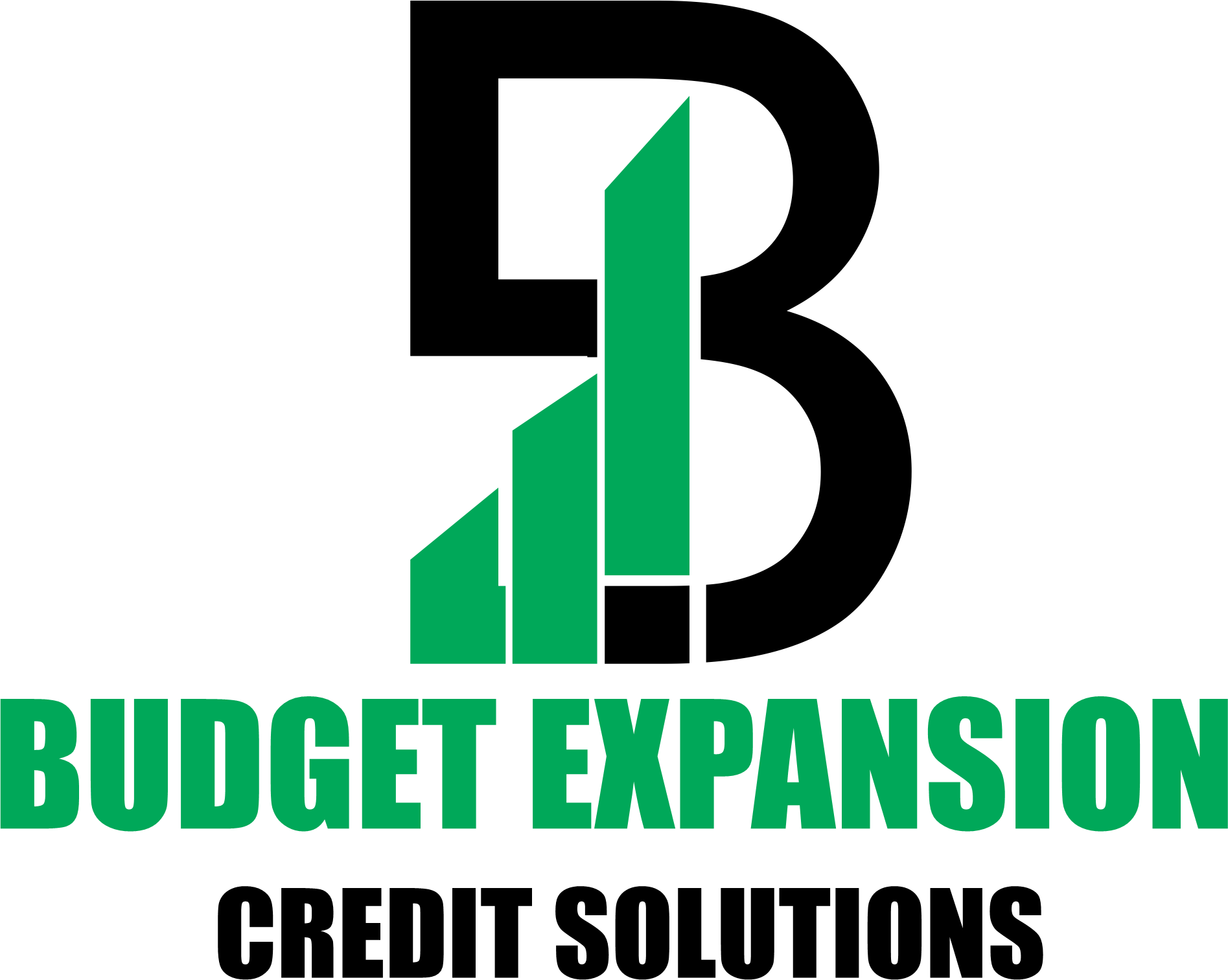 Budget Expansion Logo